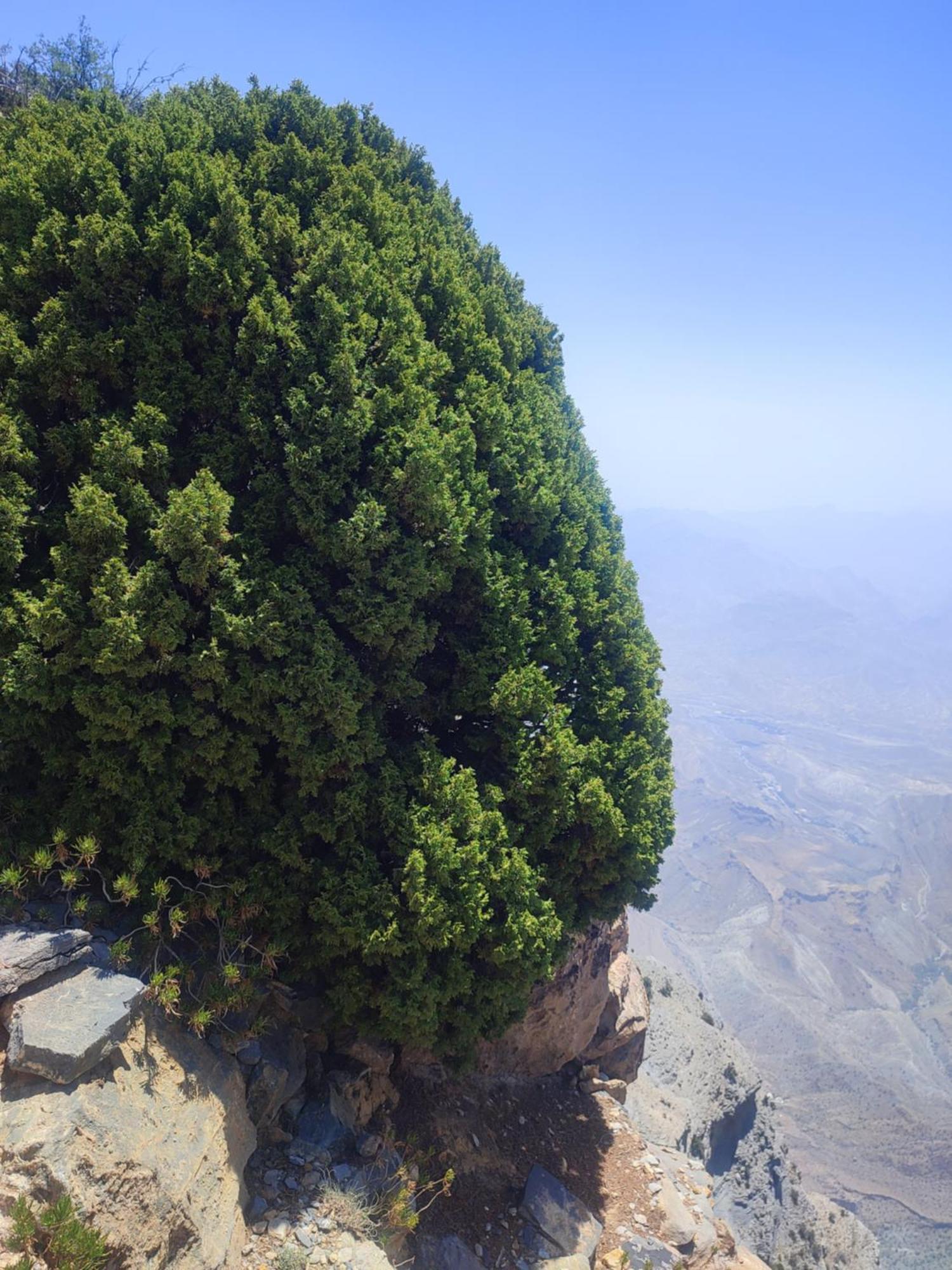 Stone Rest House Jebel Shams Al Ḩamrāʼ Kültér fotó